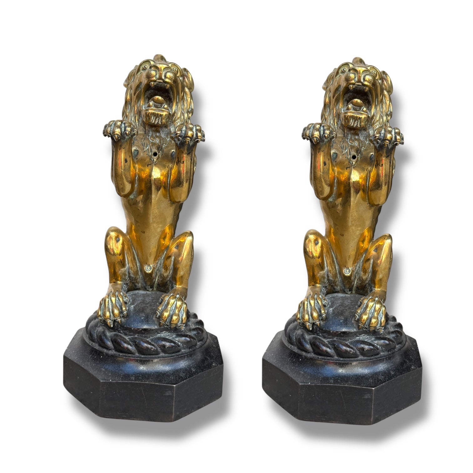 Pair of Brass Lions on Marble Bases